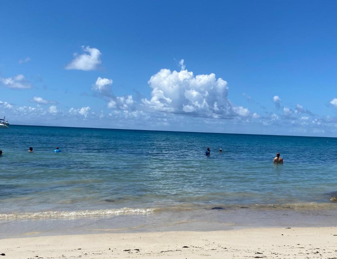 Studio Rdc La Desirade Martinique Acces Direct Plage 상트루스 외부 사진